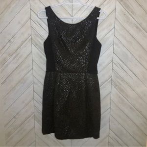 Babaton Black Dress